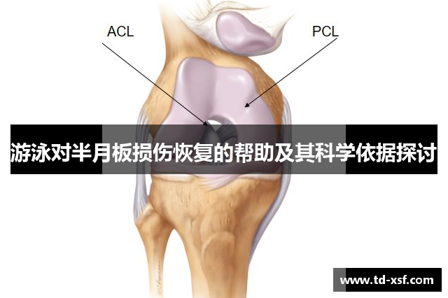 NG体育官方网站:游泳对半月板损伤恢复的帮助及其科学依据探讨